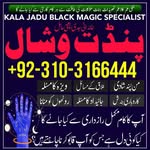 Trusted Amil Baba | Pandit Vishal | Love Problem & Black Magic Special
